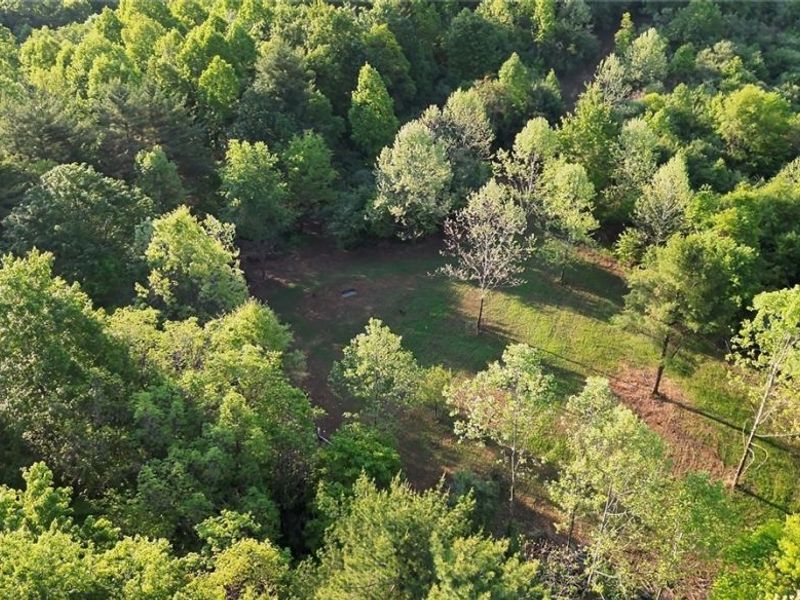 Crum Ridge Rd, Caldwell, OH 43724 Photo 20