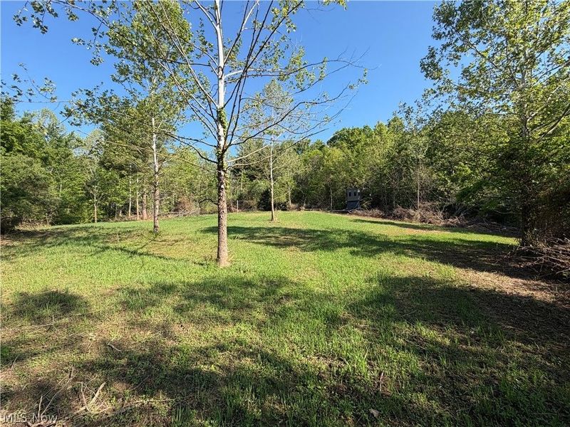 Crum Ridge Rd, Caldwell, OH 43724 Photo 22