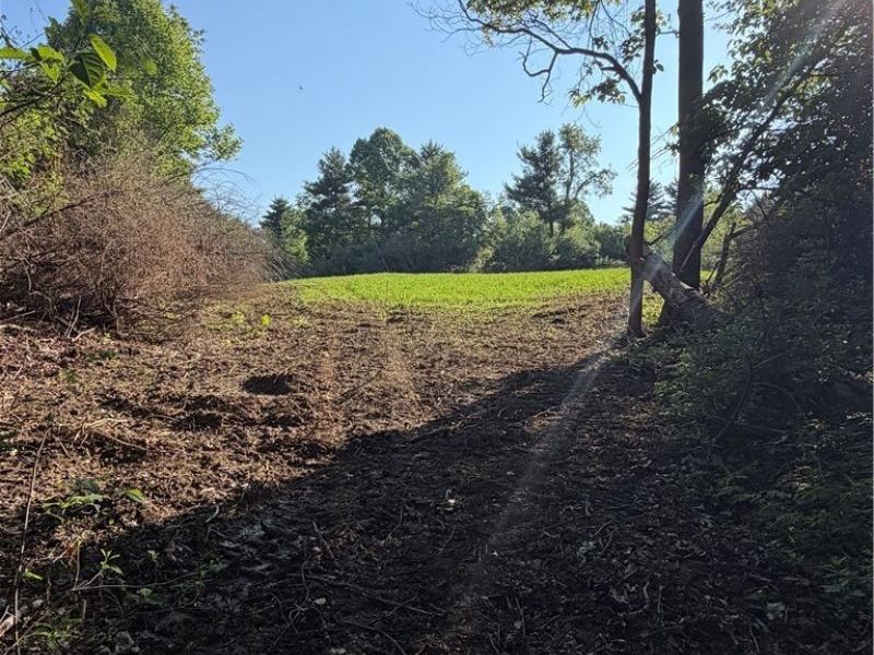 Crum Ridge Rd, Caldwell, OH 43724 Photo 28