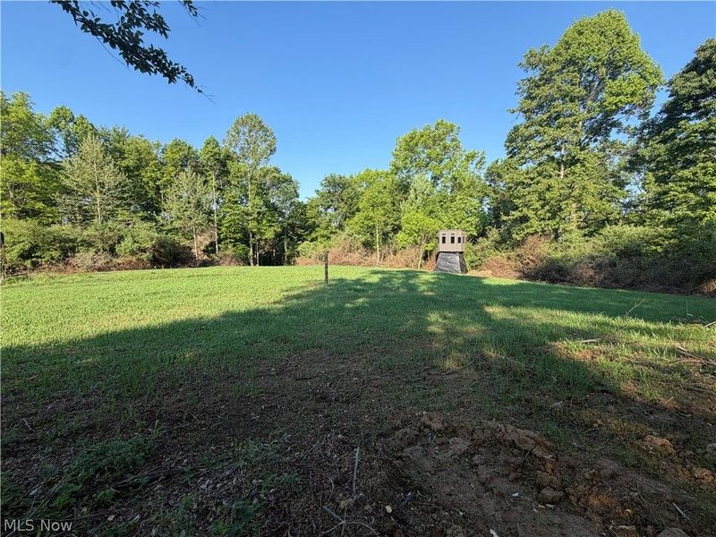 Crum Ridge Rd, Caldwell, OH 43724 Photo 29