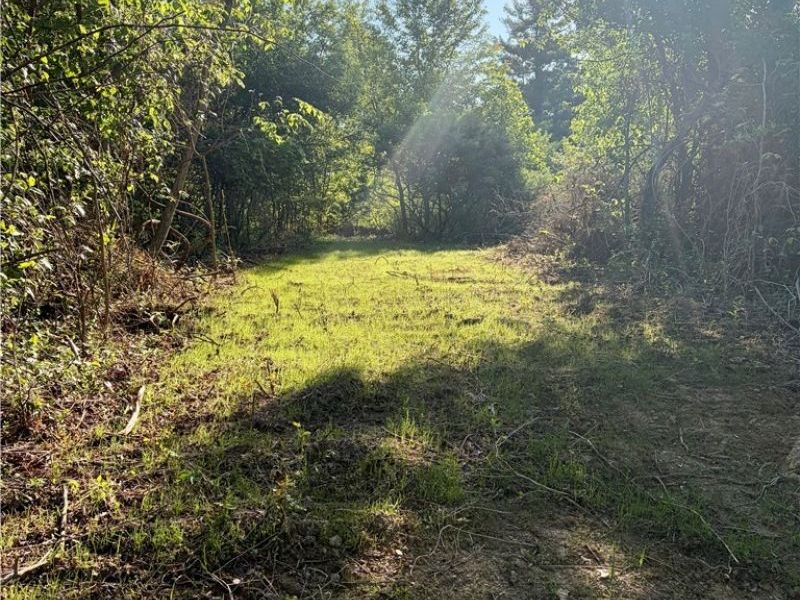 Crum Ridge Rd, Caldwell, OH 43724 Photo 31