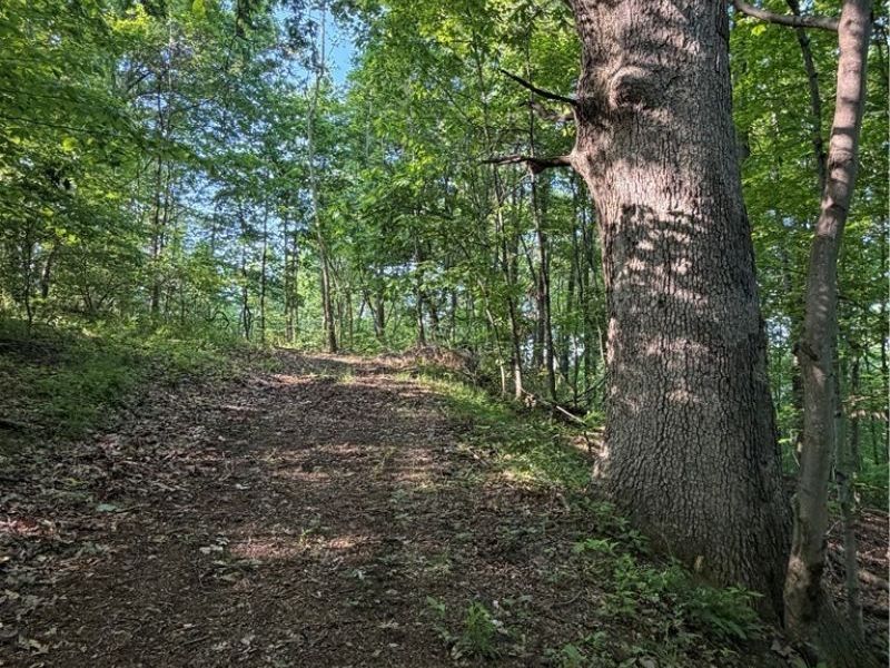 Crum Ridge Rd, Caldwell, OH 43724 Photo 32