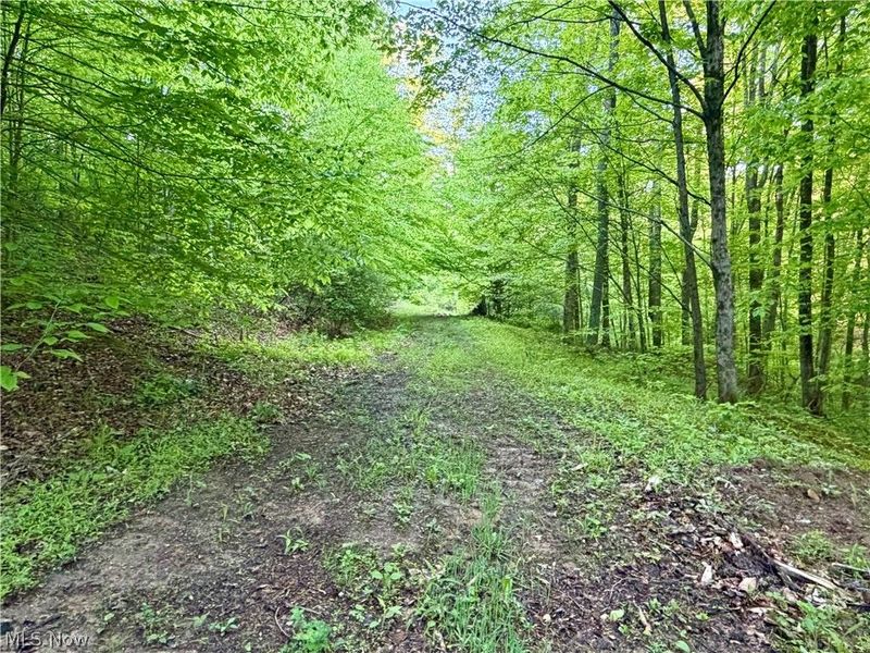 Crum Ridge Rd, Caldwell, OH 43724 Photo 34