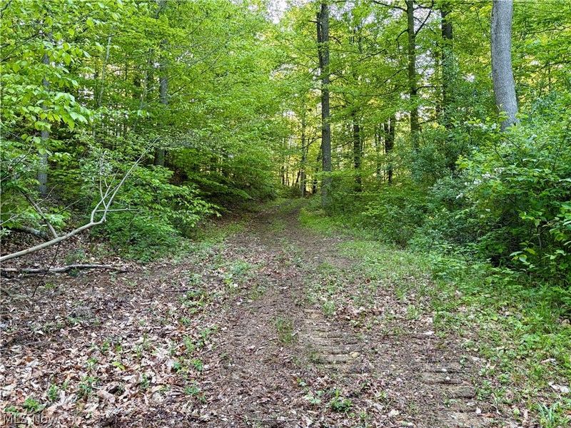 Crum Ridge Rd, Caldwell, OH 43724 Photo 35