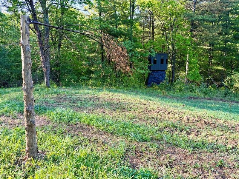Crum Ridge Rd, Caldwell, OH 43724 Photo 39