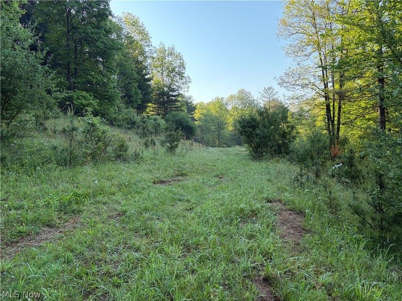 Crum Ridge Rd, Caldwell, OH 43724 Photo 40