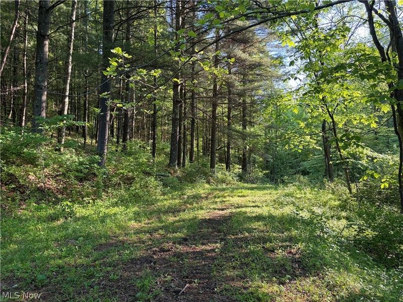 Crum Ridge Rd, Caldwell, OH 43724 Photo 50