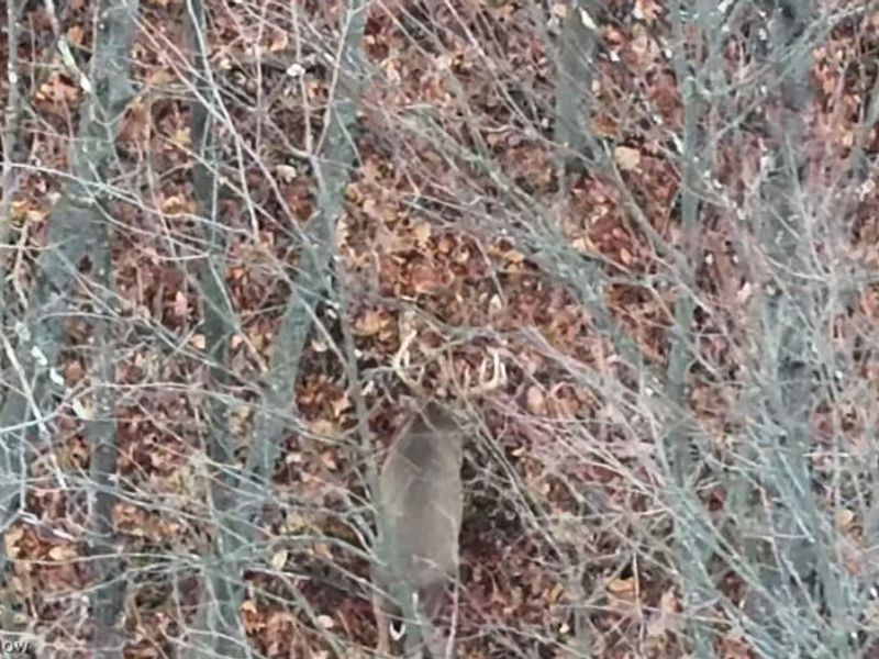Crum Ridge Rd, Caldwell, OH 43724 Photo 7
