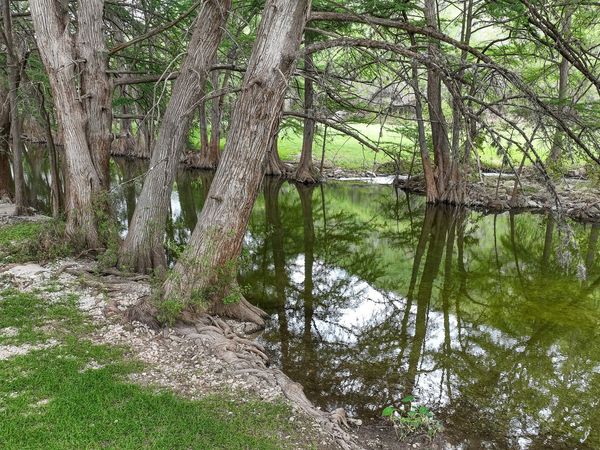 6550 N Us Highway 83, Leakey, TX 78873