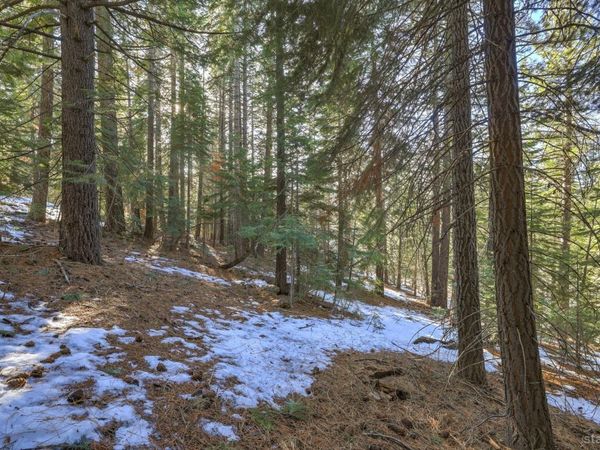 1607 Southern Pines Drive, South Lake Tahoe, CA 96150