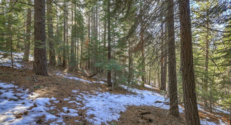 1607 Southern Pines Drive, South Lake Tahoe, CA 96150 Photo