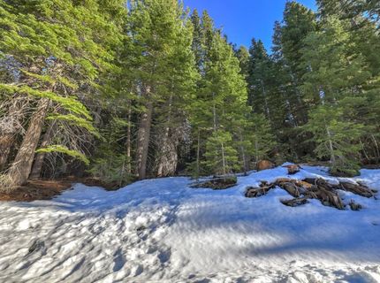 1607 Southern Pines Drive, South Lake Tahoe, CA 96150 Photo