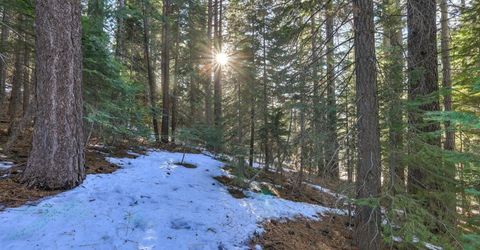 1607 Southern Pines Drive, South Lake Tahoe, CA 96150 Photo