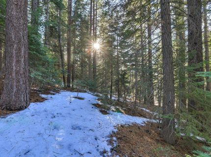 1607 Southern Pines Drive, South Lake Tahoe, CA 96150 Photo