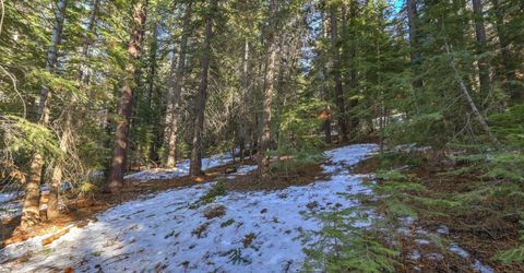 1607 Southern Pines Drive, South Lake Tahoe, CA 96150 Photo