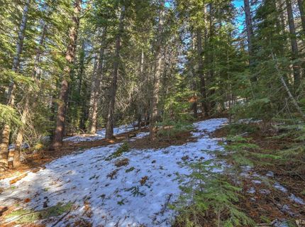 1607 Southern Pines Drive, South Lake Tahoe, CA 96150 Photo
