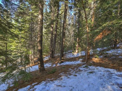 1607 Southern Pines Drive, South Lake Tahoe, CA 96150 Photo