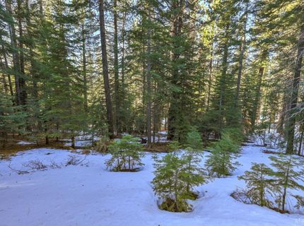 1346 Thunderbird Drive, South Lake Tahoe, CA 96150 Photo