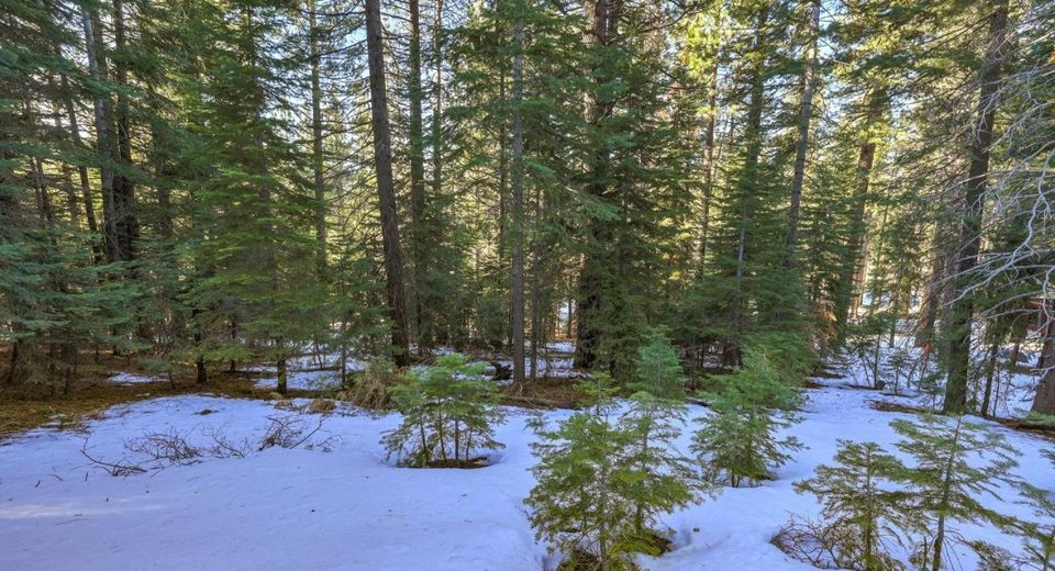 1346 Thunderbird Drive, South Lake Tahoe, CA 96150 Photo