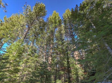 1346 Thunderbird Drive, South Lake Tahoe, CA 96150 Photo