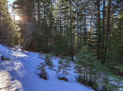 1346 Thunderbird Drive, South Lake Tahoe, CA 96150 Photo