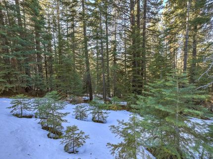 1346 Thunderbird Drive, South Lake Tahoe, CA 96150 Photo