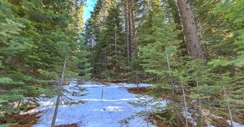 1346 Thunderbird Drive, South Lake Tahoe, CA 96150 Photo