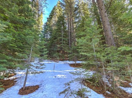 1346 Thunderbird Drive, South Lake Tahoe, CA 96150 Photo