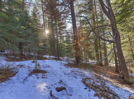 1346 Thunderbird Drive, South Lake Tahoe, CA 96150 Photo