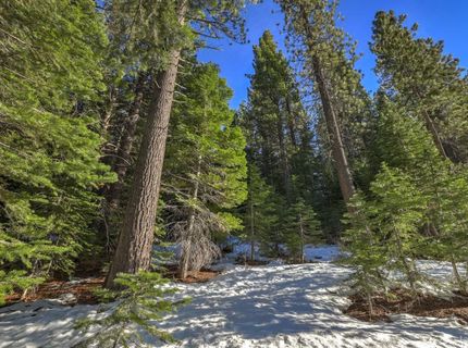 1346 Thunderbird Drive, South Lake Tahoe, CA 96150 Photo