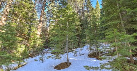 1346 Thunderbird Drive, South Lake Tahoe, CA 96150 Photo