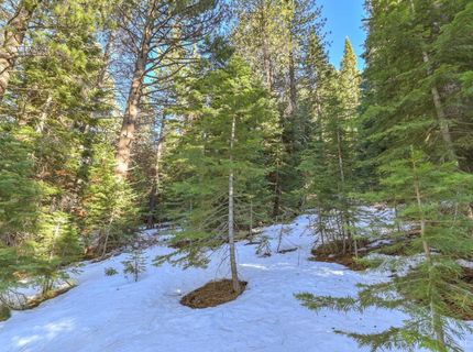 1346 Thunderbird Drive, South Lake Tahoe, CA 96150 Photo