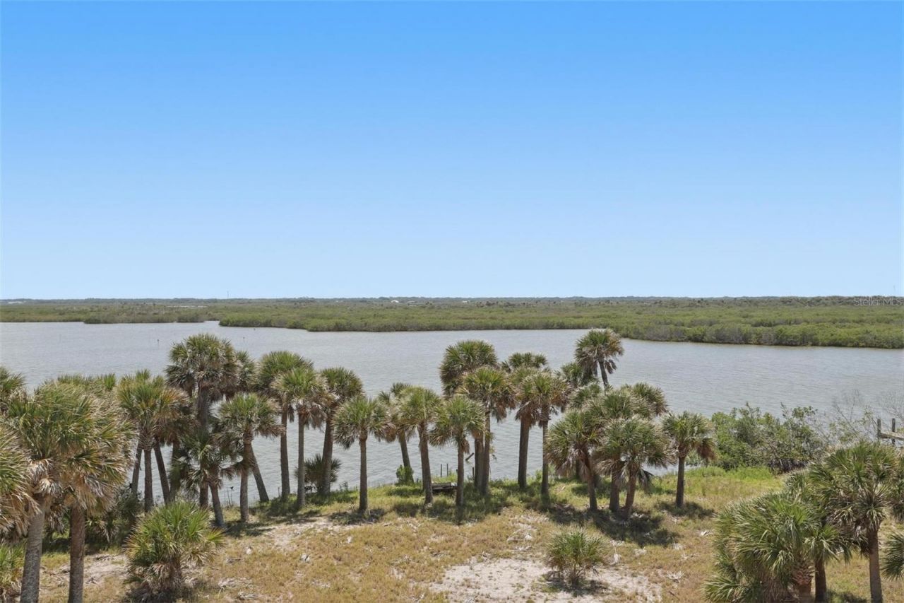 856 Ladyfish Avenue, New Smyrna Beach, FL 32169 Photo