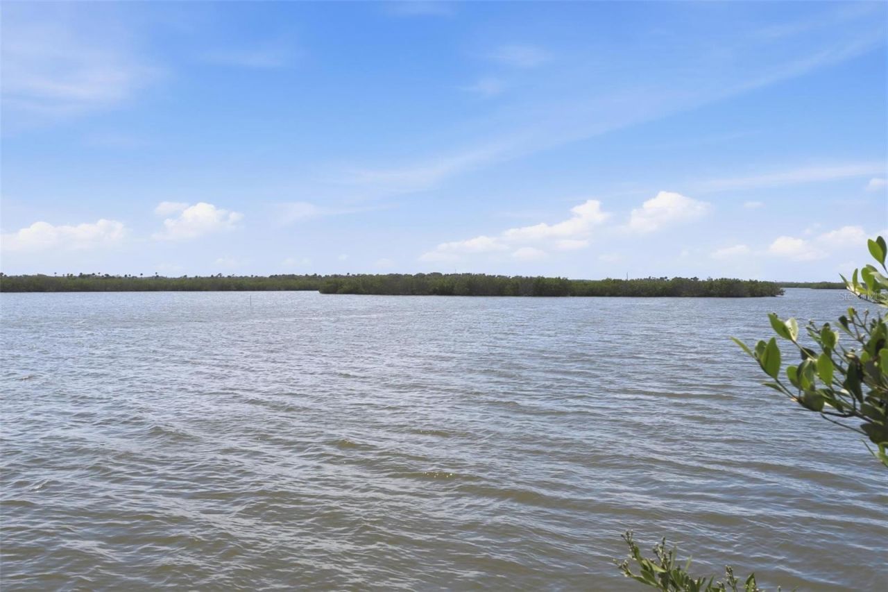 856 Ladyfish Avenue, New Smyrna Beach, FL 32169 Photo