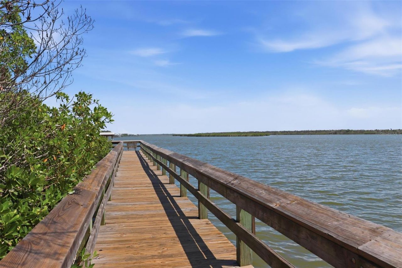 856 Ladyfish Avenue, New Smyrna Beach, FL 32169 Photo