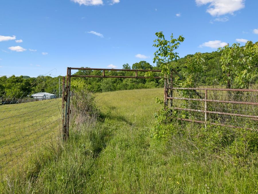 Property Image 37