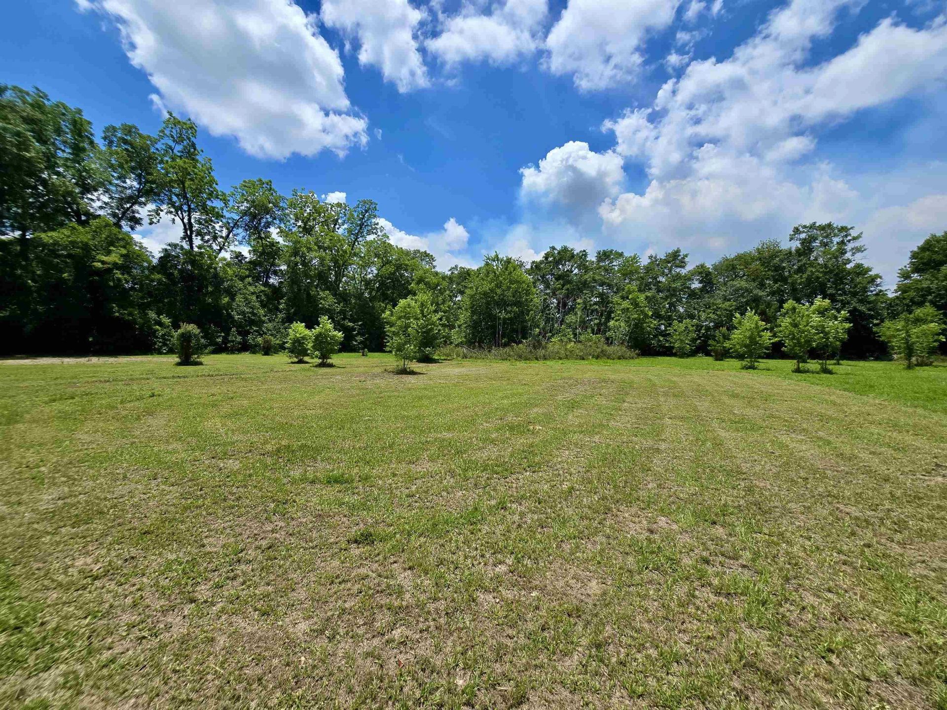 8497 Sycamore Road , Greensboro, FL 32351 Photo