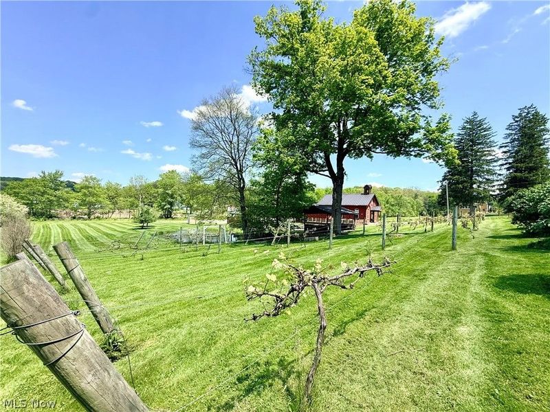 455 Schneiders Crossing Road NW, Dover, OH 44622 Photo 14