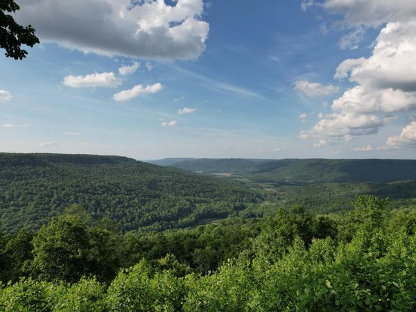 309 Blackberry Road, Beersheba Springs, TN 37305