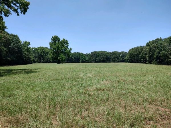 TBD 55.644 Acres County Road 1807 , Yantis, TX 75497