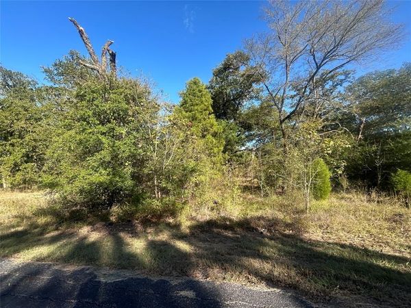 57 Point Lavista, Malakoff, TX 75148