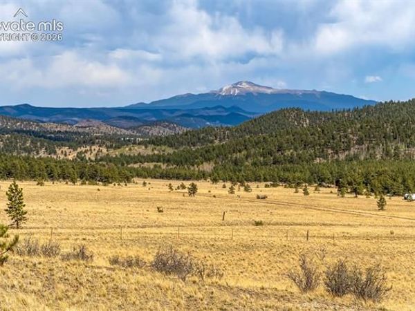 Pike View Drive, Lake George, CO 80827