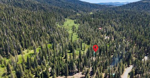 809 Countryman Drive, Bucks Lake, CA 95971 Photo