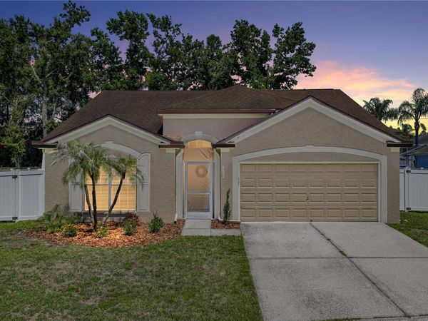 4552 STEEL DUST LANE , LUTZ, FL 33559