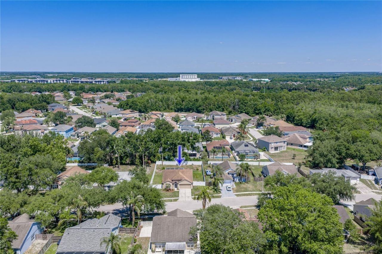 4552 Steel Dust Lane , Lutz, FL 33559 Photo