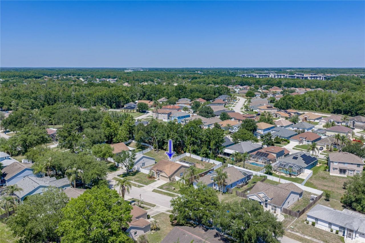 4552 Steel Dust Lane , Lutz, FL 33559 Photo