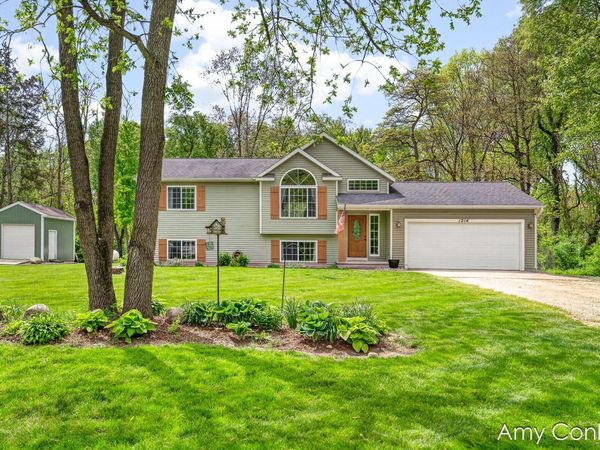 1214 Delaney Drive, Martin, MI 49070