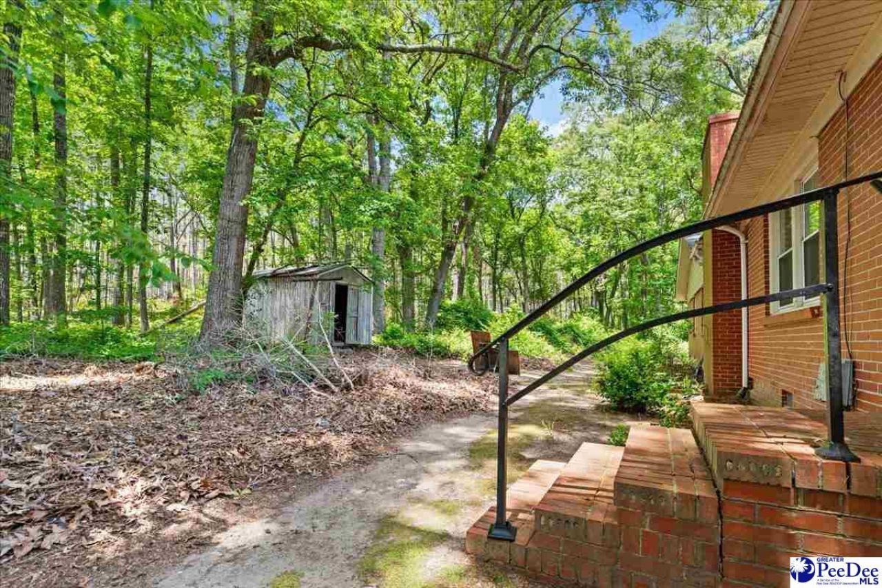302 Wakefield Drive Photo 34