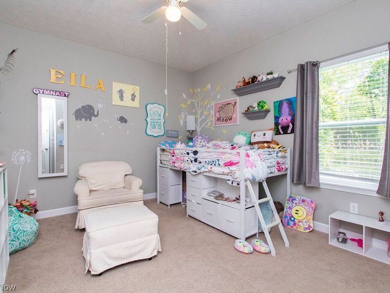 4860 Nettleton Road , Medina, OH 44256 Photo 24
