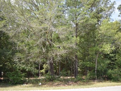 Tbd Sumter Highway, Kingstree, SC 29556